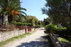 Powi�kszone zdj�cie Artatore