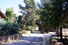 Powi�kszone zdj�cie Artatore