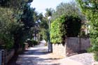Powi�kszone zdj�cie Artatore