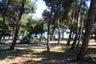 Powi�kszone zdj�cie Artatore