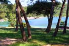 Powi�kszone zdj�cie Artatore
