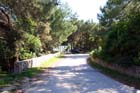 Powi�kszone zdj�cie Artatore