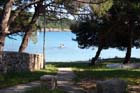 Powi�kszone zdj�cie Artatore
