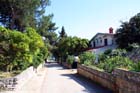 Powi�kszone zdj�cie Artatore