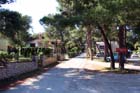 Powi�kszone zdj�cie Artatore