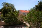 Powi�kszone zdj�cie Artatore
