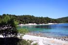 Powi�kszone zdj�cie Artatore