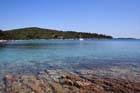 Powi�kszone zdj�cie Artatore