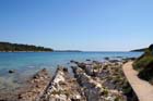 Powi�kszone zdj�cie Artatore
