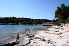 Powi�kszone zdj�cie Artatore