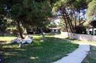 Powi�kszone zdj�cie Artatore