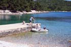 Powi�kszone zdj�cie Artatore