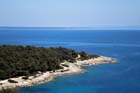 Powi�kszone zdj�cie 