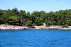 Powi�kszone zdj�cie 