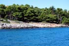Powi�kszone zdj�cie 