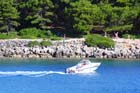 Powi�kszone zdj�cie 