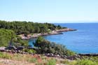 Powi�kszone zdj�cie 