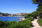 Powi�kszone zdj�cie 