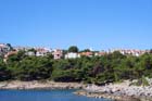 Powi�kszone zdj�cie 