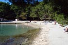 Powi�kszone zdj�cie 