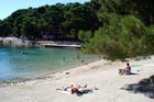 Powi�kszone zdj�cie 