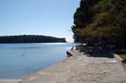 Powi�kszone zdj�cie 