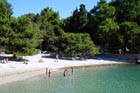 Powi�kszone zdj�cie 