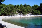 Powi�kszone zdj�cie 