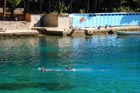 Powi�kszone zdj�cie 