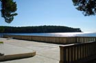 Powi�kszone zdj�cie 