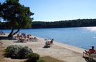 Powi�kszone zdj�cie 