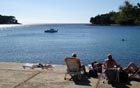 Powi�kszone zdj�cie 