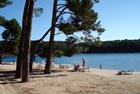 Powi�kszone zdj�cie 