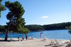 Powi�kszone zdj�cie 