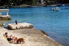 Powi�kszone zdj�cie 