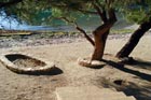 Powi�kszone zdj�cie 