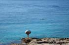 Powi�kszone zdj�cie Suncana uvala, Mali Losinj