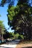 Powi�kszone zdj�cie Suncana uvala, Mali Losinj