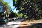 Powi�kszone zdj�cie Suncana uvala, Mali Losinj