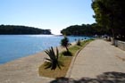 Powi�kszone zdj�cie 