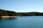 Powi�kszone zdj�cie 