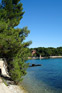 Powi�kszone zdj�cie 