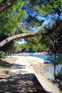 Powi�kszone zdj�cie 