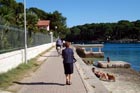 Powi�kszone zdj�cie 