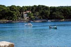 Powi�kszone zdj�cie 