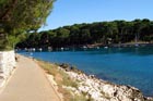 Powi�kszone zdj�cie 