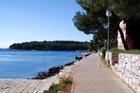 Powi�kszone zdj�cie 