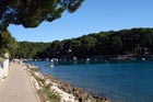 Powi�kszone zdj�cie 
