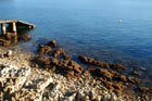 Powi�kszone zdj�cie 