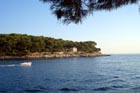 Powi�kszone zdj�cie 